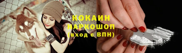 стаф Абдулино