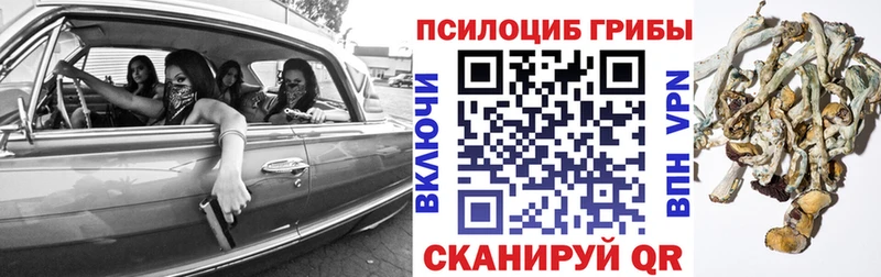 как найти наркотики  мега зеркало  Псилоцибиновые грибы мицелий  Иваново 